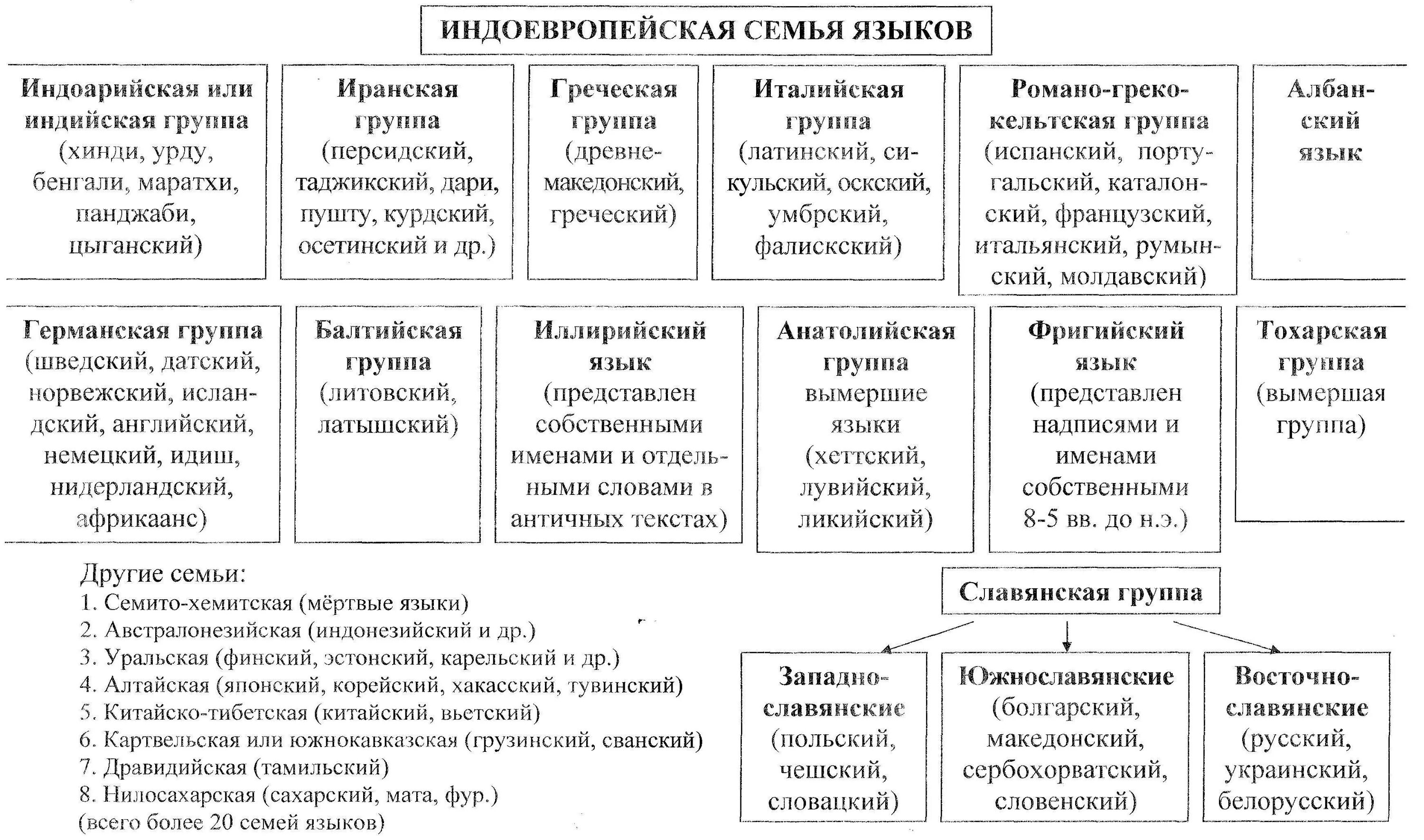 Индоевропейская языковая семья таблица. Языки индоевропейской языковой семьи. Индоевропейская языковая семья схема.