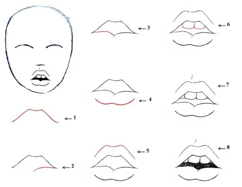 Как будет маленький рот. Губы для рисования. Поэтапное рисование губ. Губы пошагово карандашом. Схема рисования рта.