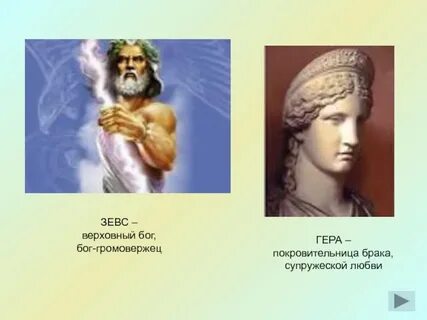 Любимые зевса