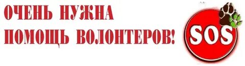 Нужна помощь специалиста