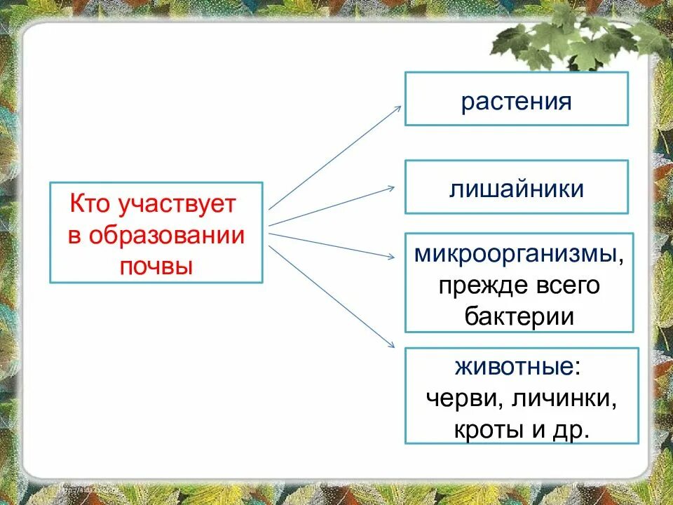 Рабочий лист почва 3 класс