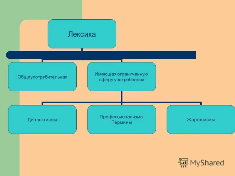 Лексика. Лексика общеупотребительная и имеющая ограниченную сферу. Лексика имеющая ограниченную сферу употребления. Общеупотребительная лексика примеры. Лексика сеть