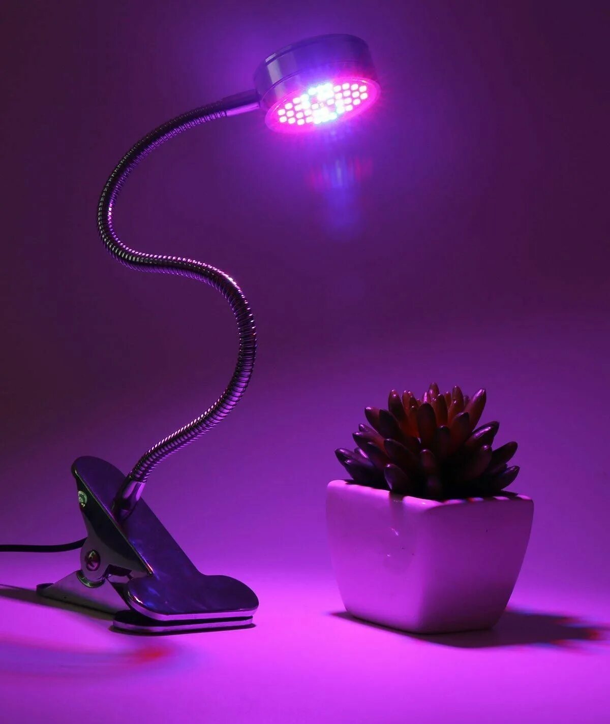 Фитолампа синяя. Фитолампа эра-15w. фитосветильник grow 150w. фитолампа ladder-60. фитосветильник эра для растений.