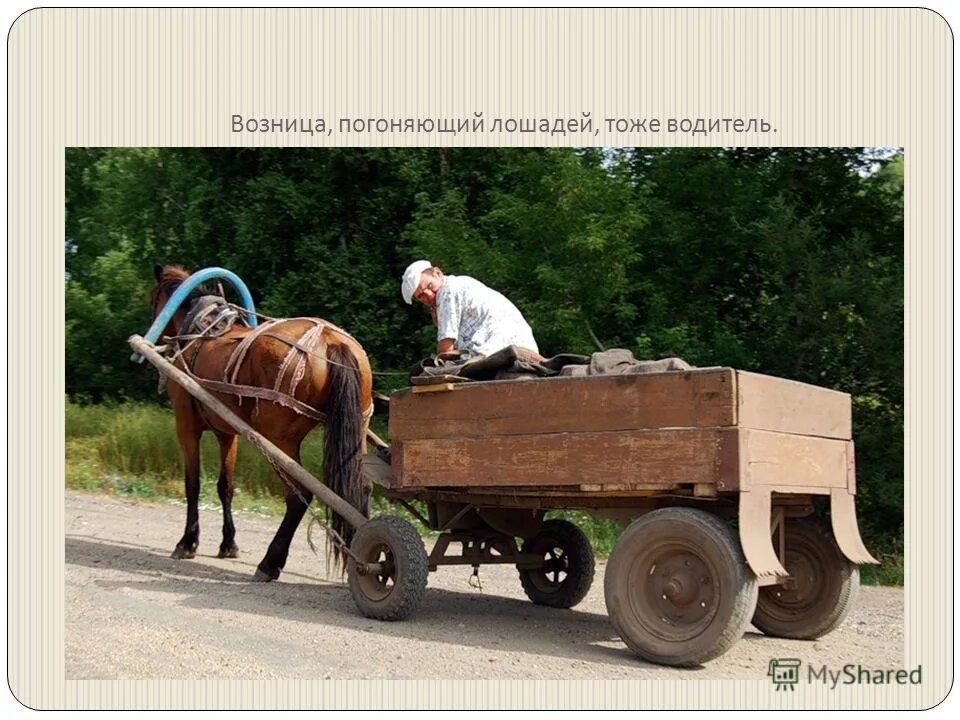 является ли погонщик лошадей и ослов водителем. человек в телеге. является ли погонщик лошадей и ослов водителем. караван ишаков. ослик с тележкой.