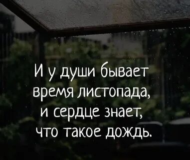 Цитаты про дождь со смыслом
