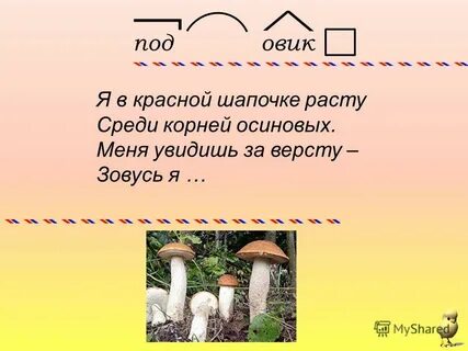 Корень слова осина