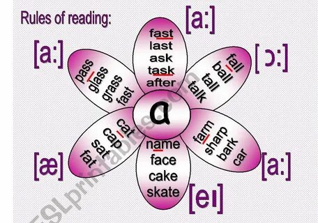 Wordwall reading rules