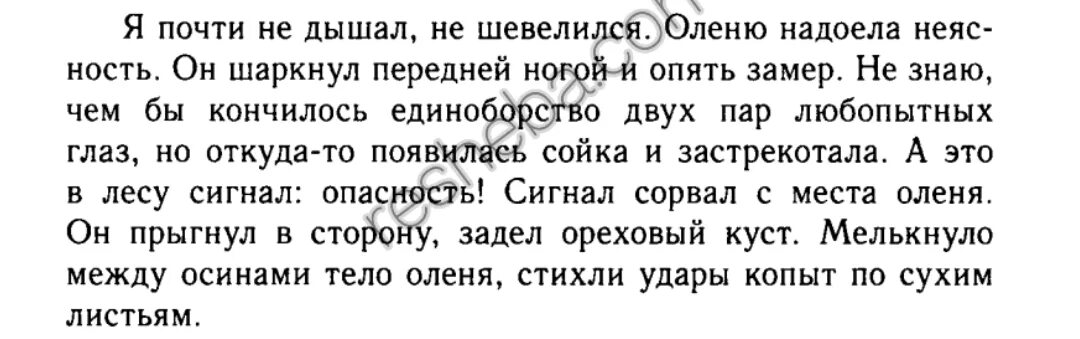 Мне очень тяжело. Странная была встреча олень глядел на меня. Смешной каратист. Статус спортсмена. Не знаю чем бы кончилось единоборство.