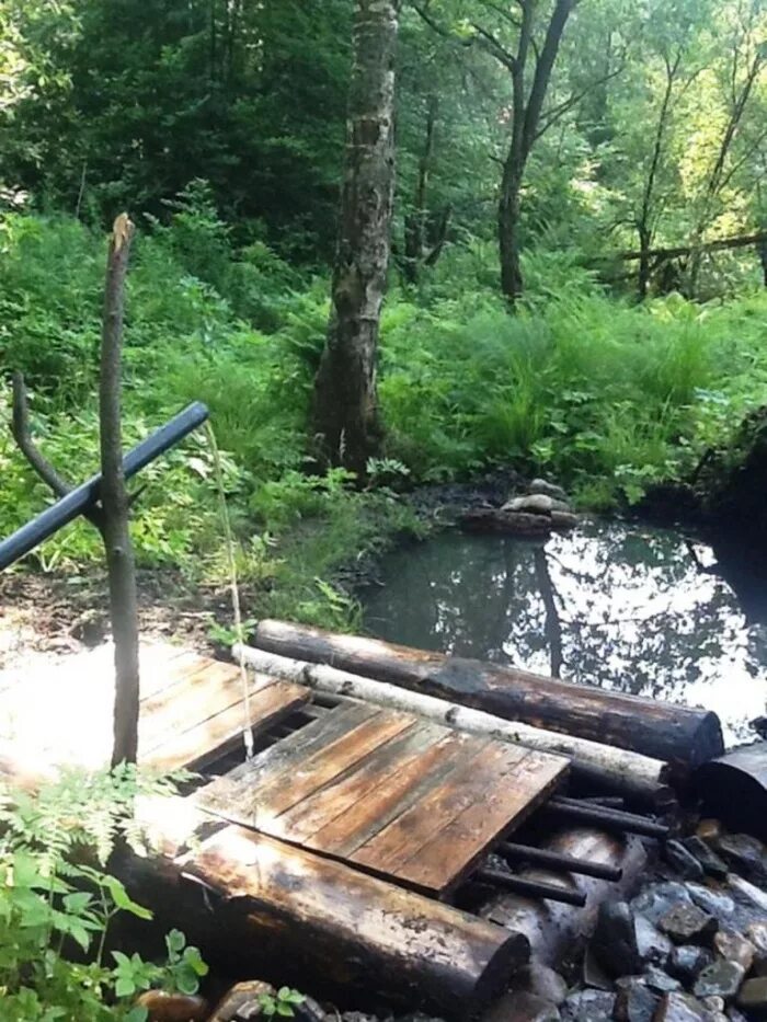 ближайший родник. родники екатеринбурга с питьевой водой. родник ближний академгородок томск. родник царский ключ томск. город радужный владимирская область.
