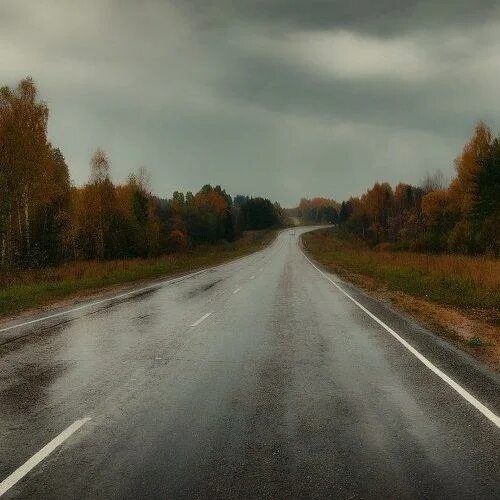 Free photo: Wet Road Forest, Green, Jungle Free Download Jooinn