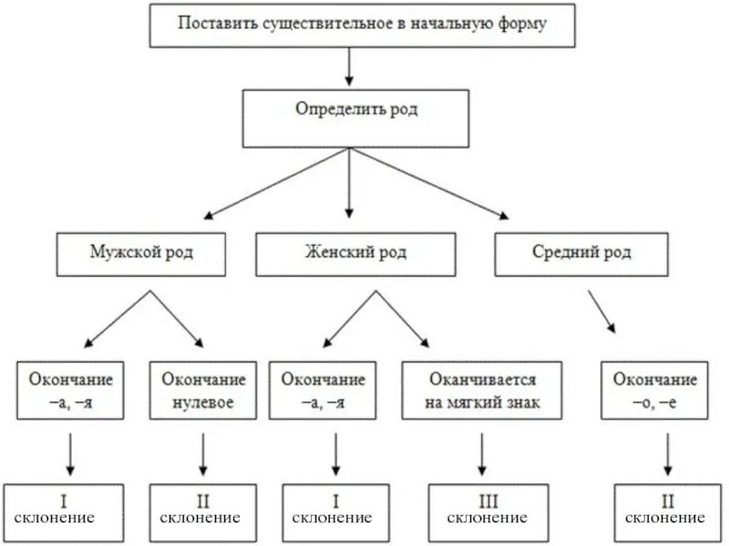 Схема имена существительные 2 класс. Опорная схема имя существительное 5 класс. Схема имени существительного в русском языке. Имя существительное как часть речи схема.