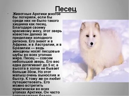 Писец окраска слова