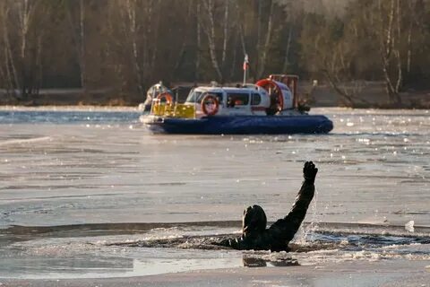 Введите новости