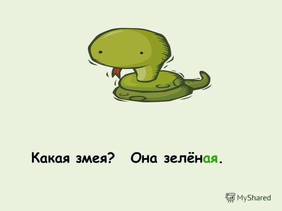 тест какая ты змея