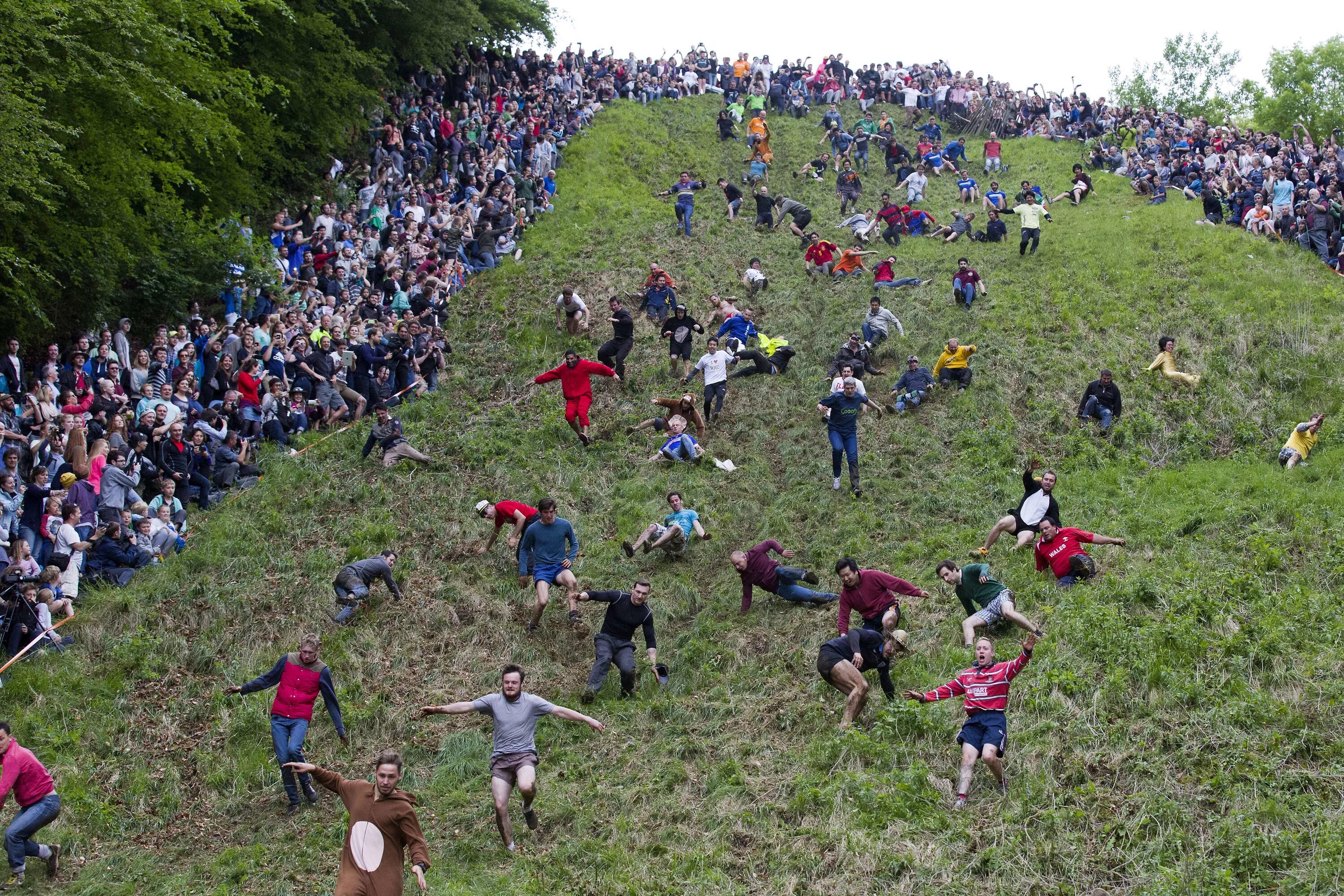 Спустился с холма. «Cheese Rolling Championship» — сырная гонка. Куперсхилдская сырная гонка, Англия. Cheese-Rolling, Coopers Hill, Gloucestershire. Cooper's Hill Cheese-Rolling and Wake.