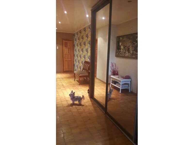 квартиры тольятти свердлова