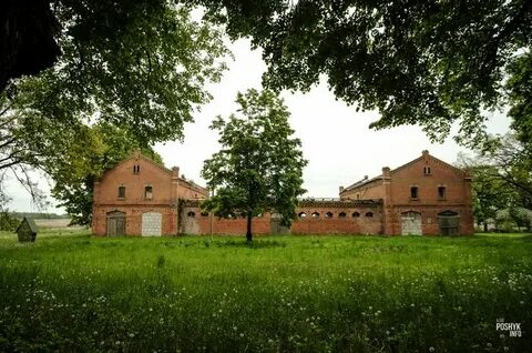 Новая абрамова грушевка