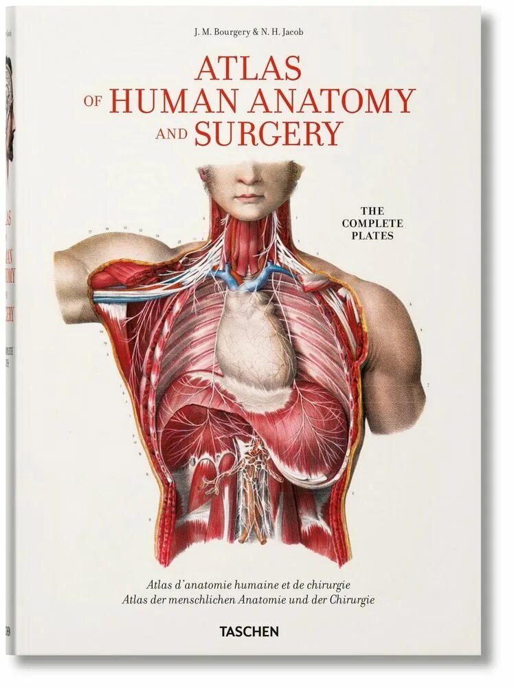 Анатомия книги атласы. Atlas of Human Anatomy and Surgery: the complete Plates by j.m. Bourgery & n.h. Jacob. Атлас анатомии /Bourgery j. m./. Atlas of Human Anatomy and Surgery Taschen.