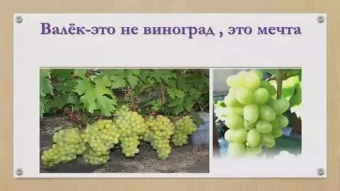 Математика 2 класс виноград