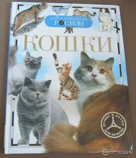 Детская энциклопедия кошки