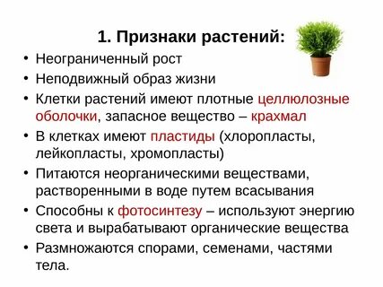 Травы внешние признаки