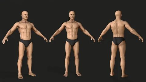 Based body