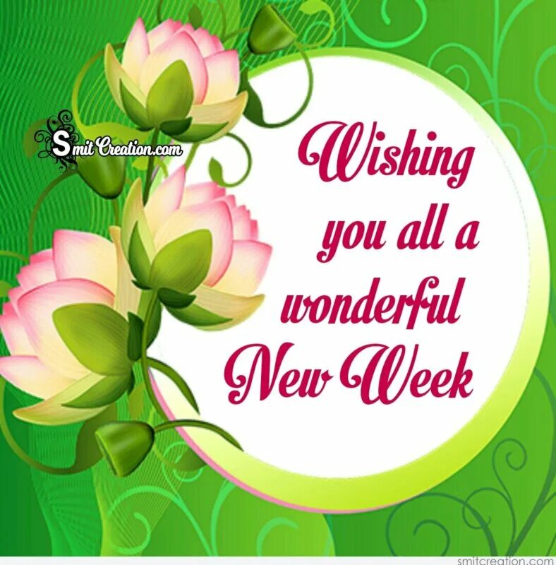 Week wishing. Week wonderful. wishing you a wonderful week. wonderful wishes. открытки wonderful week!.