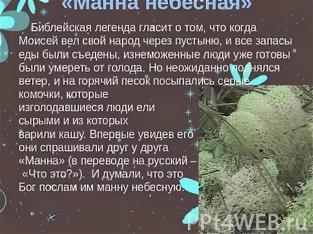 Легенда гласит что