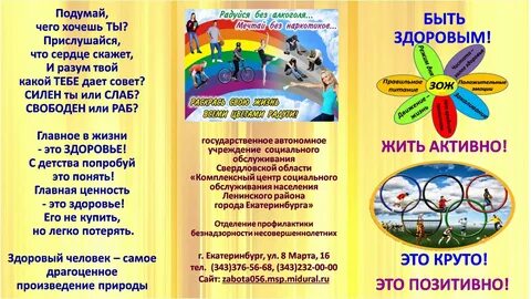 Листовка живи