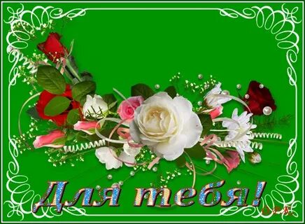 Благодарим алиса