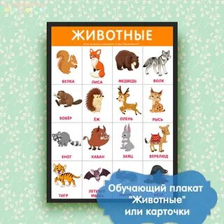 Животные обучающие