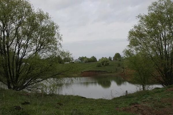 Погода бутырки курской области. Хутор Бутырки Бунин. Хутор Бутырки Елецкого уезда. Хутор Озерки Бунин. Хуторе Бутырки Елецкого уезда Орловской губернии..