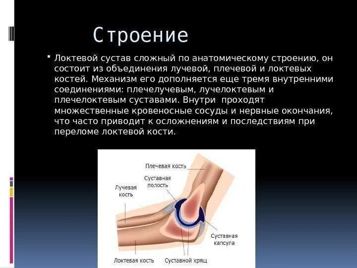 Минск локтевого сустава. Локтевой сустав костная анатомия строение. суставные поверхности локтевого сустава. строение локтевого сустава кратко. локтевой сустав: форма, строение, движения..