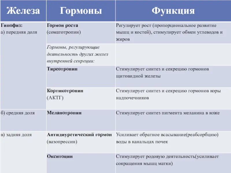 Гипофиз независимые. Функции гормонов передней доли гипофиза. Гормоны гипофиза и их функции таблица. Гормоны задней доли гипофиза таблица. Гормоны передней доли гипофиза и их функции таблица.