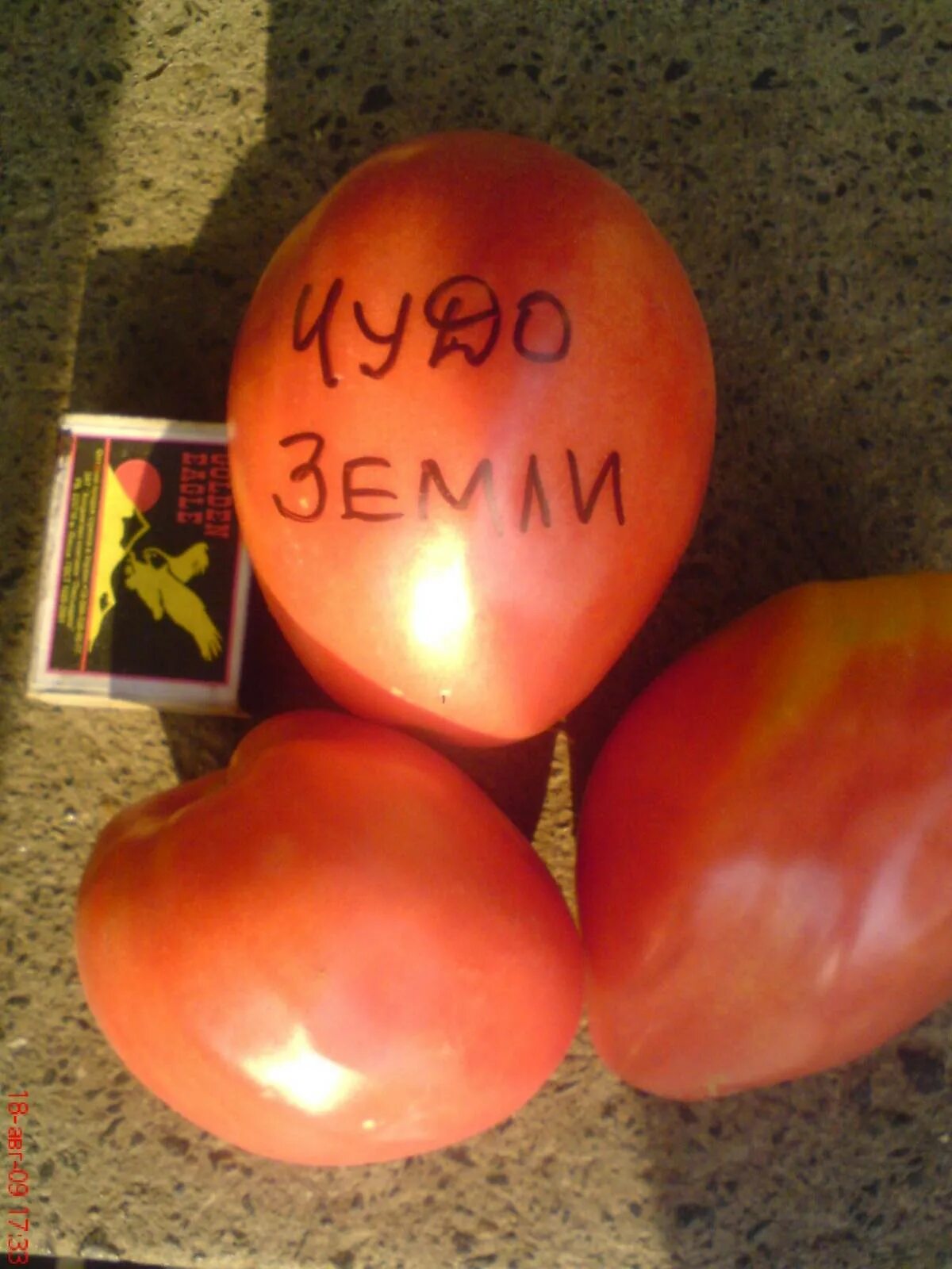 Описание сорта томатов чудо земли. Томат чудо земли. земля для томатов.