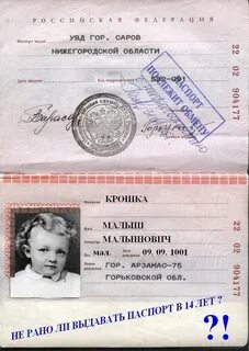 Дата выдачи паспортов в годах