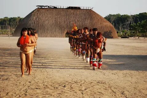Xingu women nude - comptoirsetsaveurs.fr.
