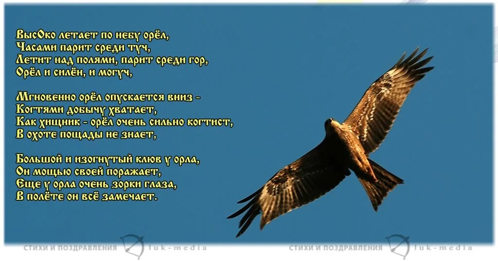 Лети словно орел текст. Стихотворение про орла. В Орлов стихи. Стихотворение про орла для детей. Птица орёл стихотворение.