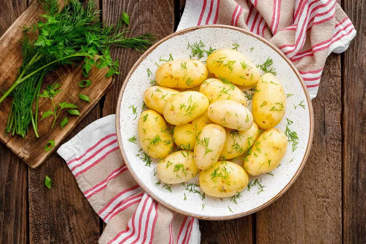 Картофель отварной с маслом и зеленью. Вареная картошка. Картофель молодой. Вареный картофель