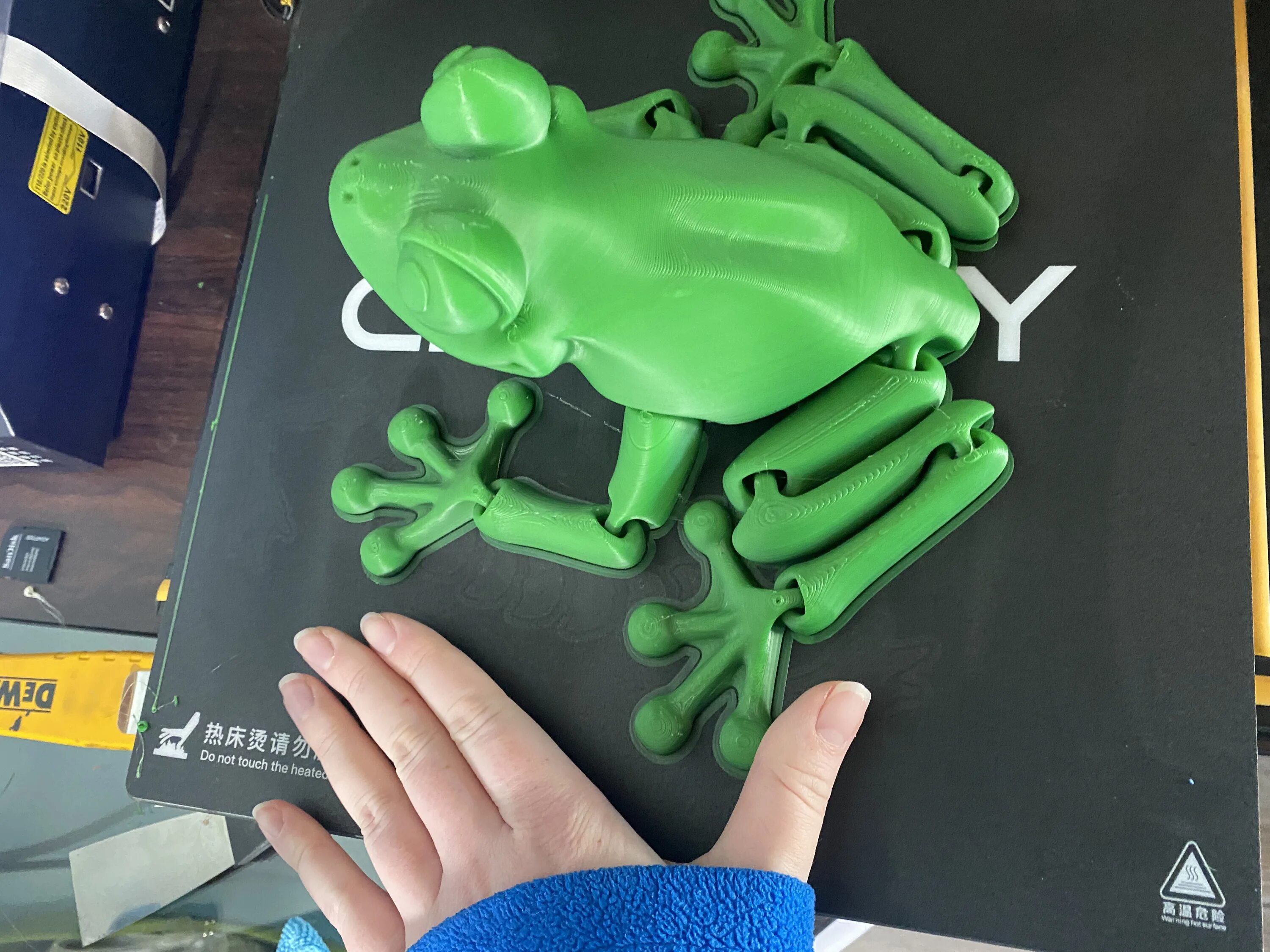 3d принтер Frog. Лягушка на 3д принтере. Модель лягушки для 3d принтера. Лягушка 3д печать. Соркин 3d