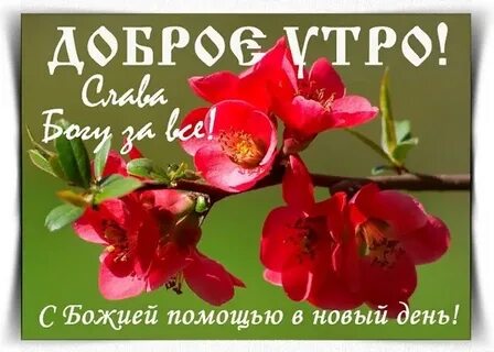 Доброе осеннее утро храни вас бог