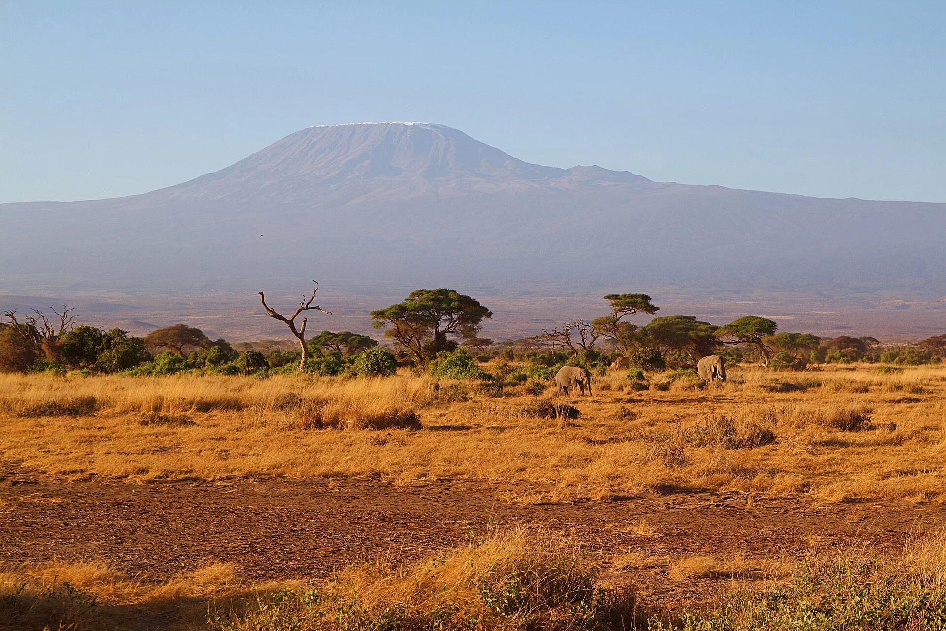 Саванной восточной африки. Килиманджаро Африка. Саванна Африка Килиманджаро. Кения Килиманджаро. Кения Саванна.