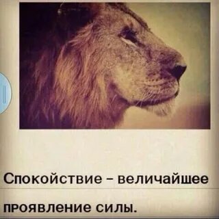 Величайшее проявление силы