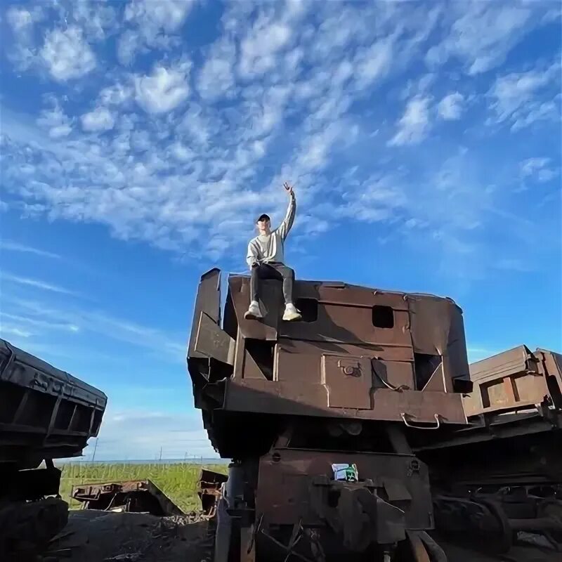 Широкопояс 22