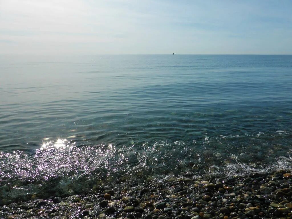 Море в сочи в феврале. Шторм в сочи 2023. Пальмы в снегу сочи. Черное море в феврале. Холодная зима в сочи.