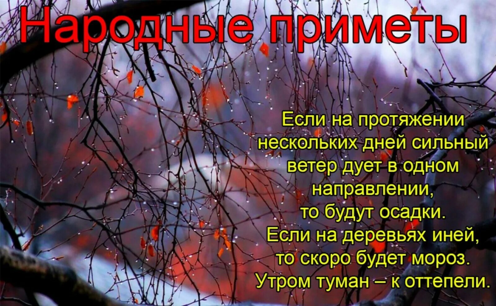 Приметы на казанскую осеннюю. Приметы ноября. народные приметы ноября. народный календарь на ноябрь на каждый день. народные приметы на 9 ноября.