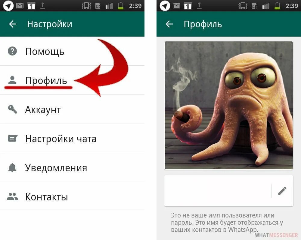 Поставить аватарку на ватсап картинки. Аватарка в ватсапе. прикольные статусы для ватсапа. аватар для группы в ватсапе. весёлые статусы для ватсапа.