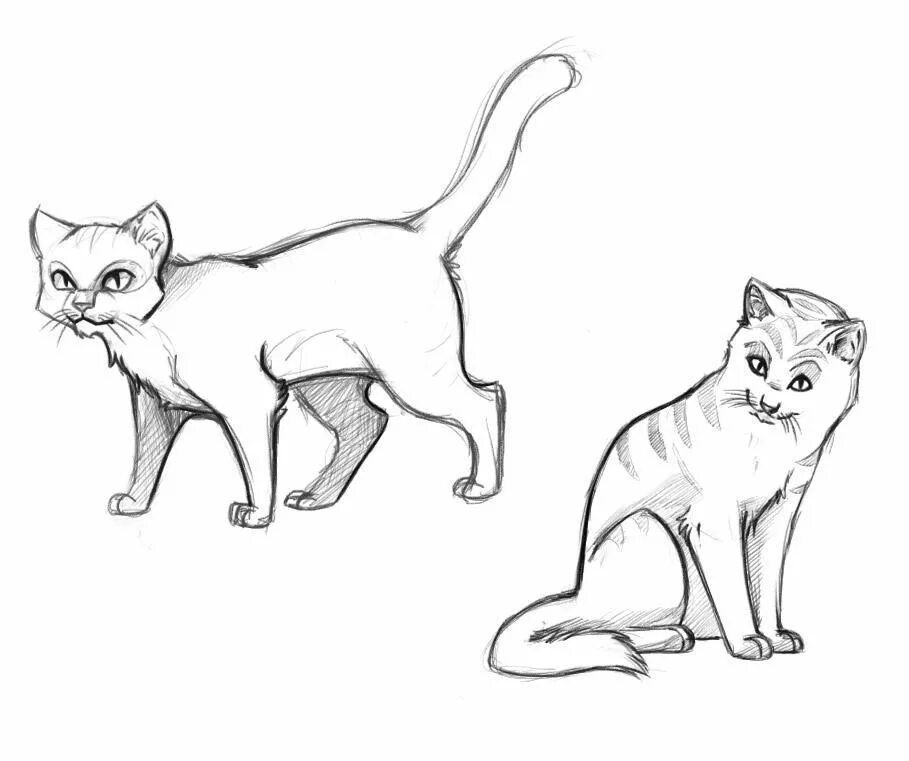 Картинки кошек рисовать. Кошка рисунок. Кошка рисунок карандашом. Рисунок кошки карандашом для срисовки. Рисунки котов для срисовки.