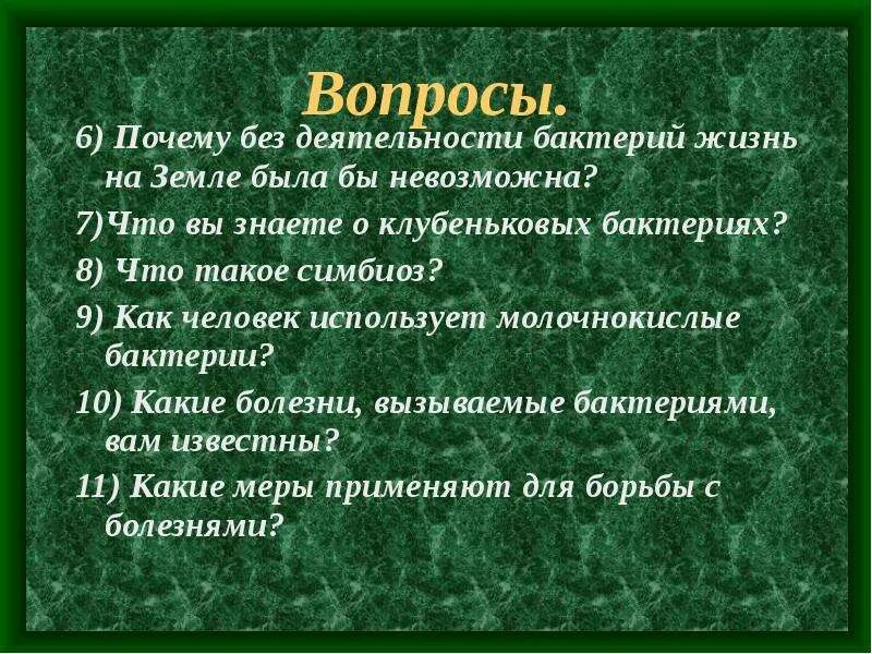 Почему без деятельности бактерий. Почему без деятельности бактерий жизнь на земле была бы невозможна. Почему без деятельности бактерий жизнь на земле. Вопросы по бактериям 6 класс.