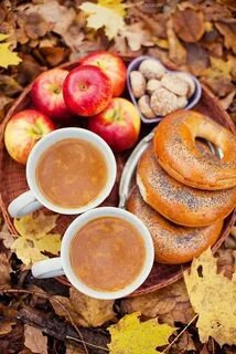 Погожим сентябрьским утром